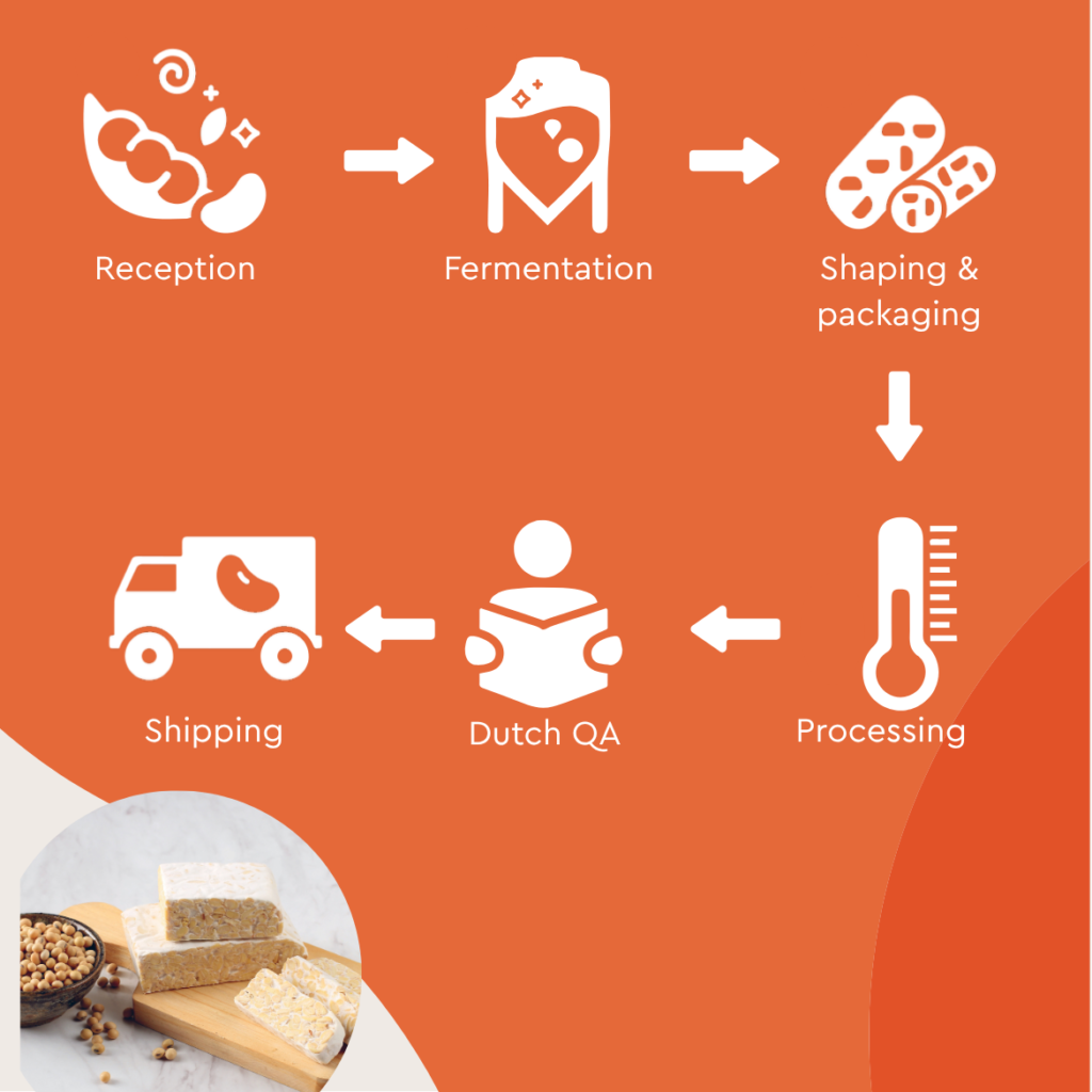 "Step-by-step visual of Tempeh today production and QA process"