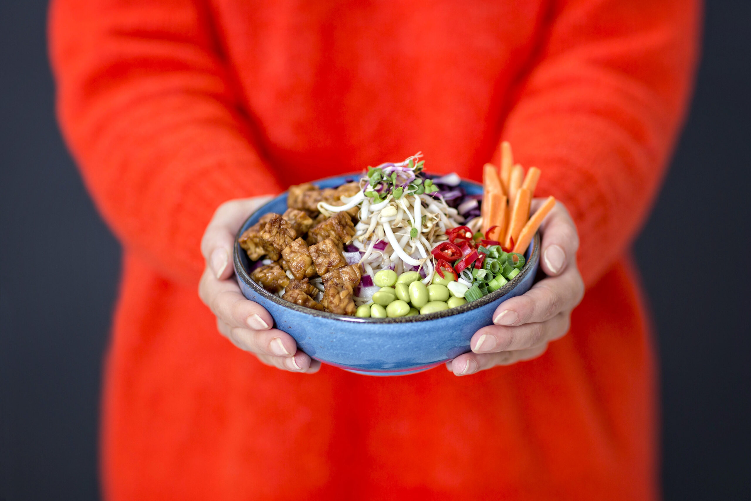 Export-ready shelf-stable tempeh formats for foodservice